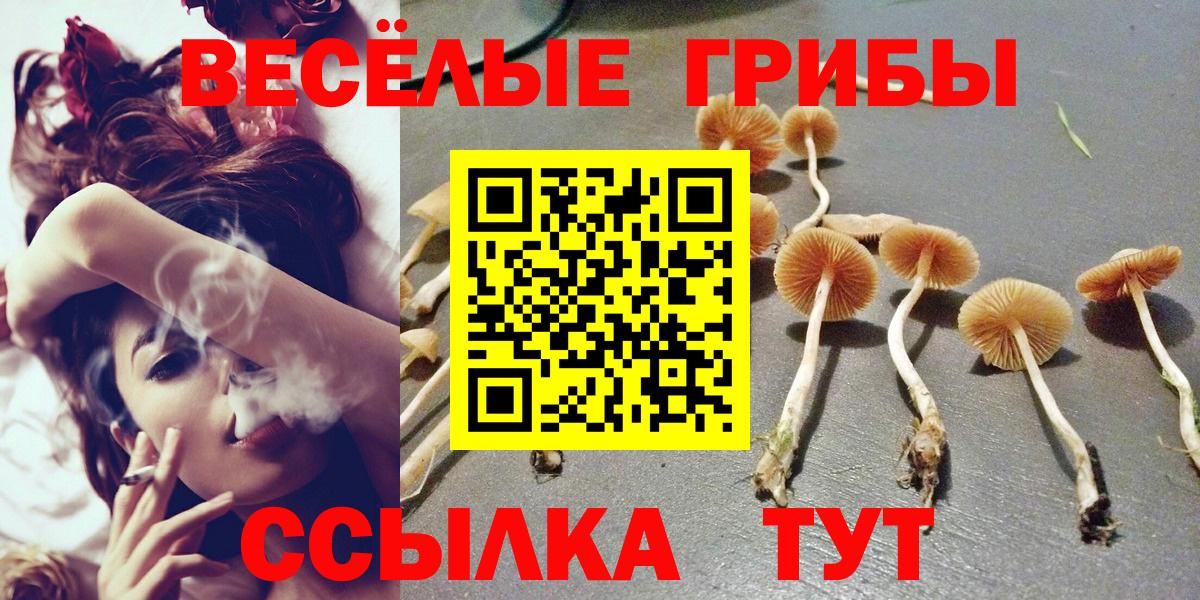 купить закладку  Вход с VPN  Ярцево  Галлюциногенные грибы Psilocybine cubensis 