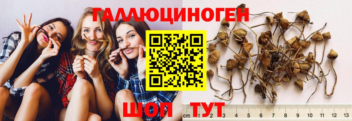 Галлюциногенные грибы прущие грибы Ярцево